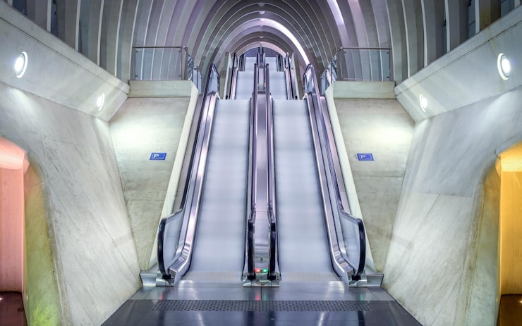 river-city-tree-sky_1100989-1068